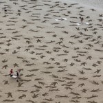 sand drawing of figures in France