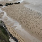 Fallen 9000 sand drawing in France