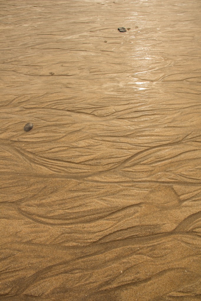 Patterns made by nature