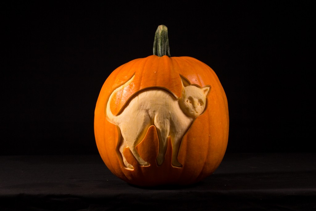 Cat pumpkin carving