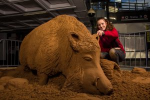 Bradford boar sand sculptor claire jamieson