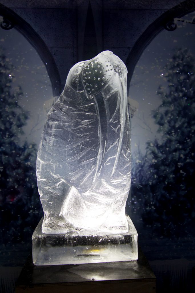 walrus_ice_sculpture_uk_carvers