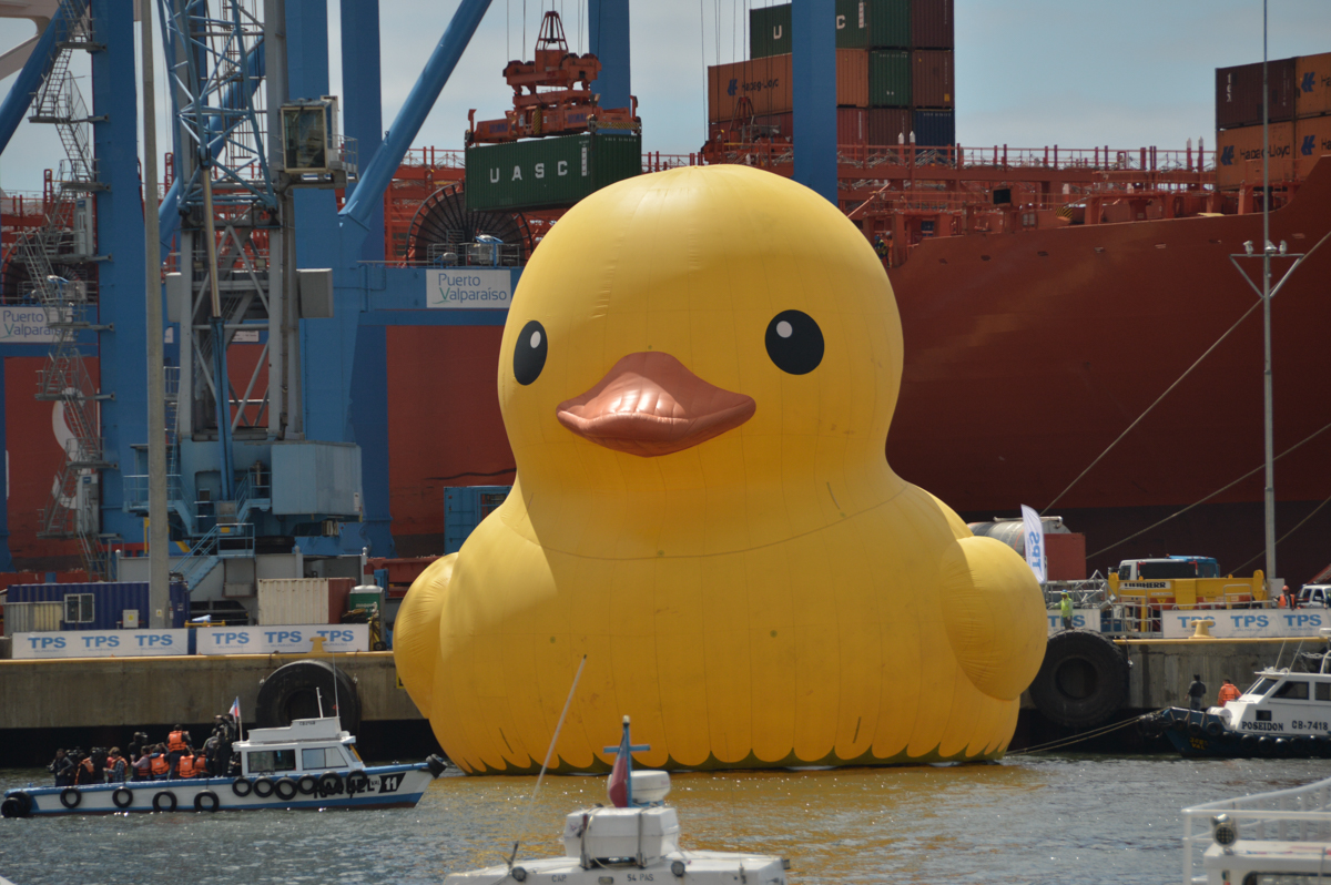 yellow_giant_duck_chile