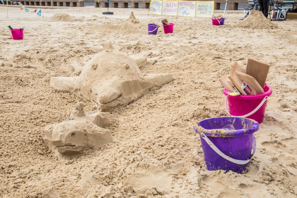 sand carving wildlife trust