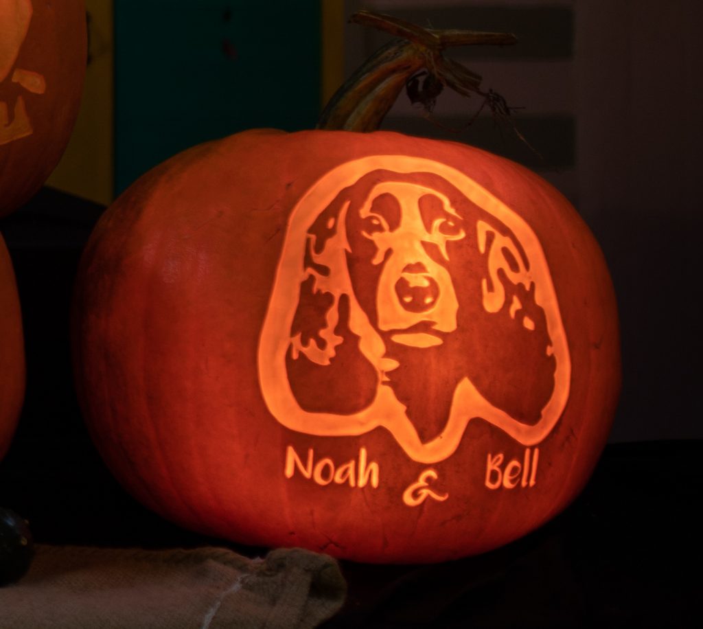 pumpkin carving stencil dog portrait goodwood