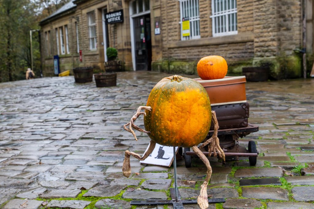 pumpkins yorkshire craigshaw