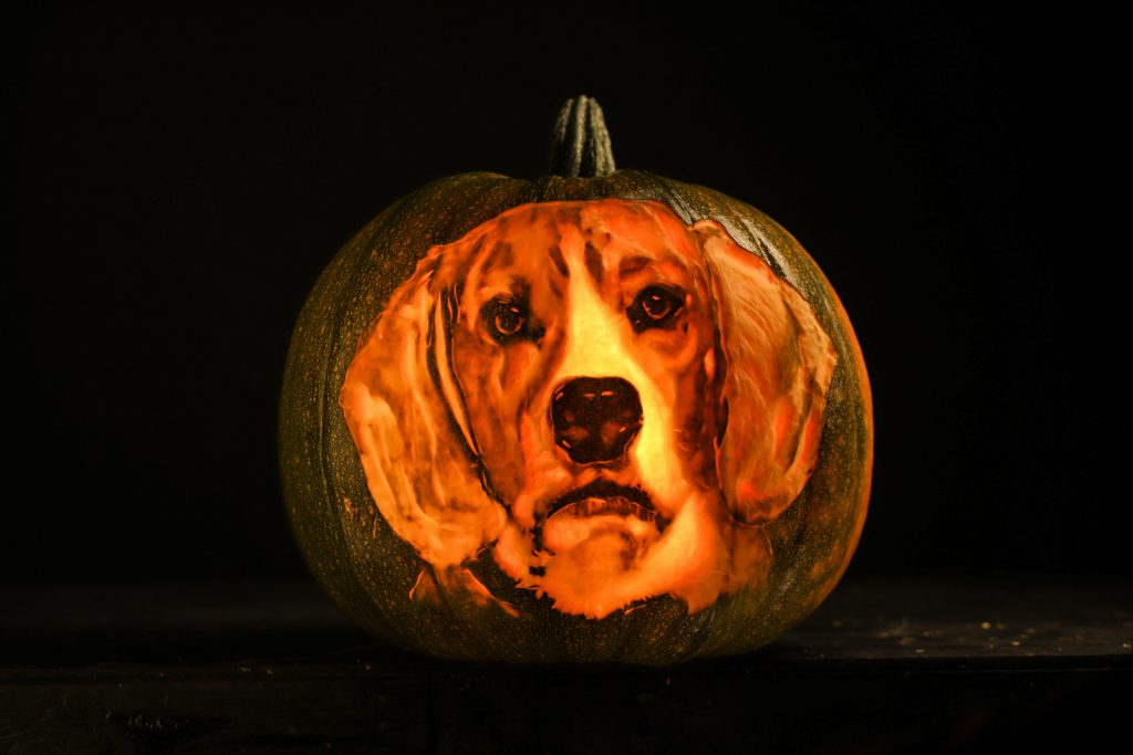 halloween carved pumpkin uk