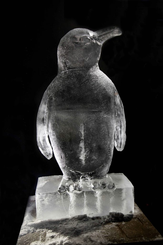 penguin_ice_sculpture_uk