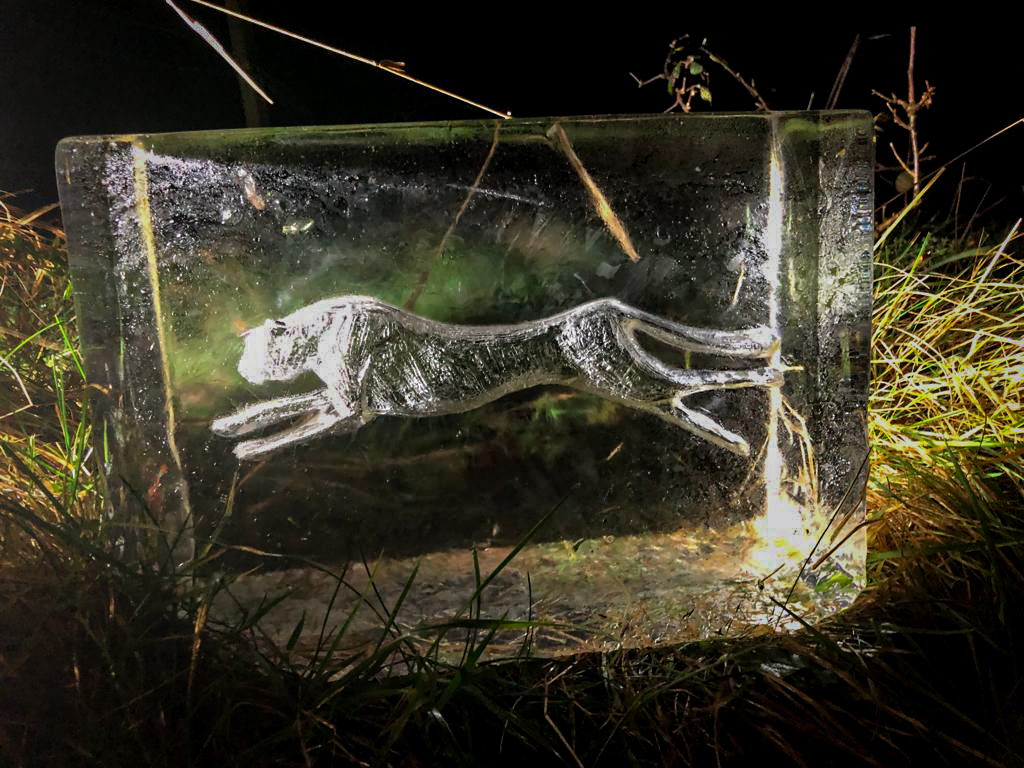 animal_ice_sculpture_uk