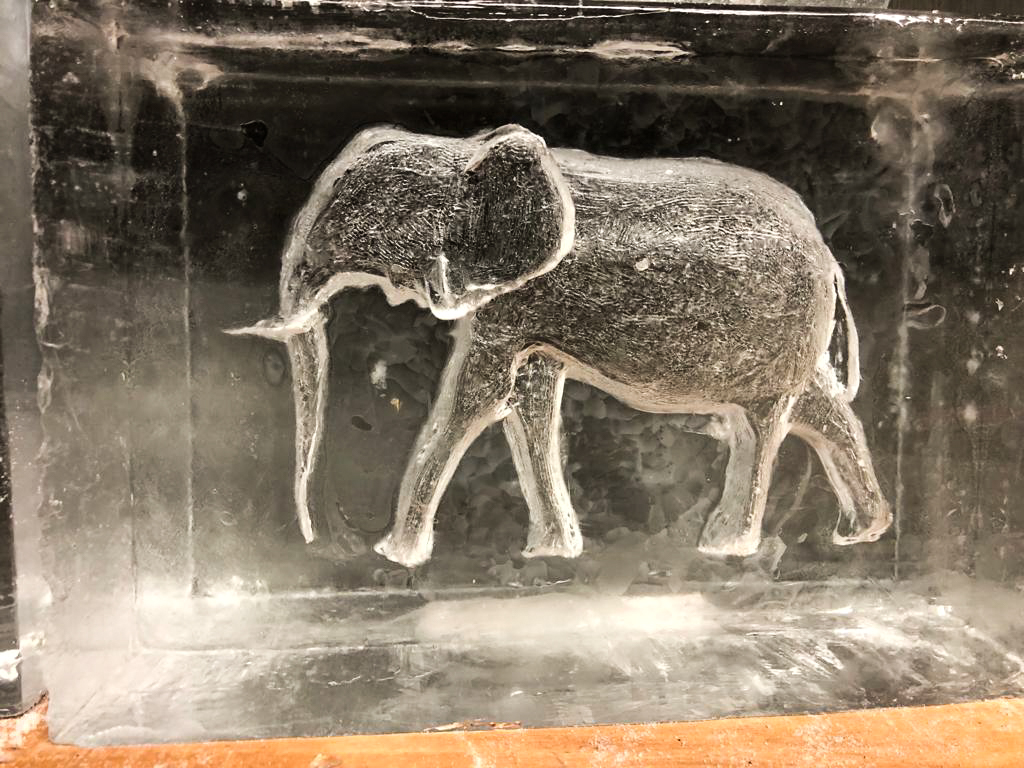 ice_sculpture_safari