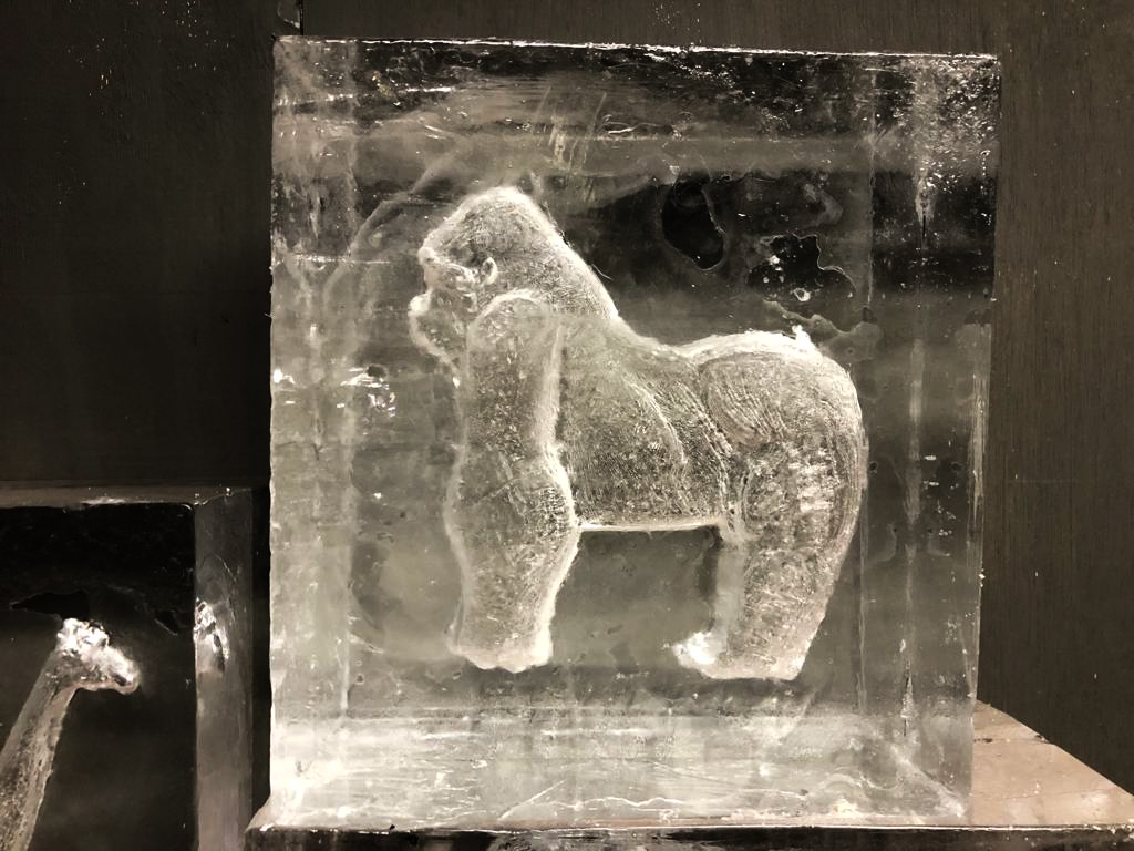 ice_sculpture_trail_animal_theme