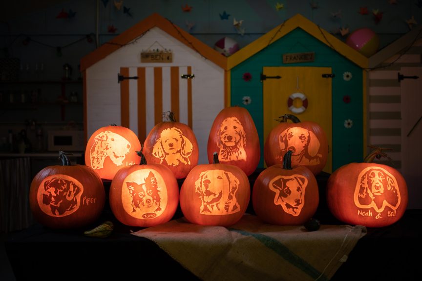 Spooky Dog Portrait Pumpkins for Goodwood Halloween Party | Sand In ...
